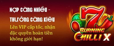 Chào mừng đến với King33